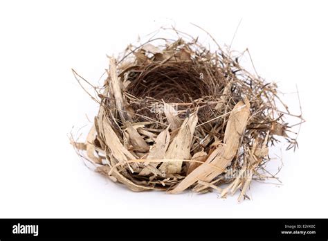 Empty Nest Parents Celebrate Kids Going To College With Empty