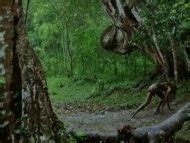 Naked Mallika Sherawat In Hisss