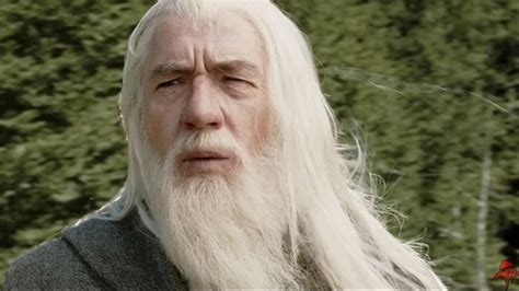 "It would have been unfair": Sir Ian McKellen Refused Dumbledore Role ...