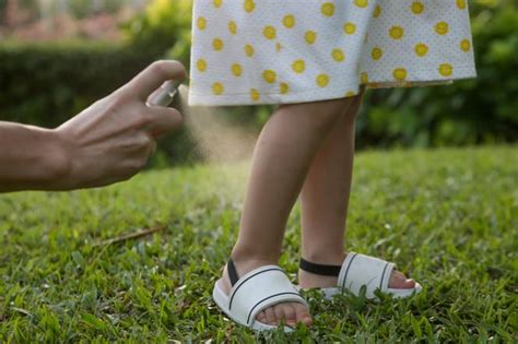 Uwaga zaczął się sezon na kleszcze Jak ochronić przed nimi dziecko