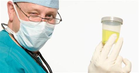 Белок в моче – норма или нет