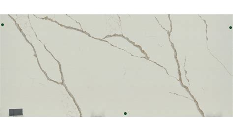Calacatta Laza Oro Msi Quartz Countertops Auburn Wa