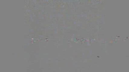 Japan Amateur Vintage