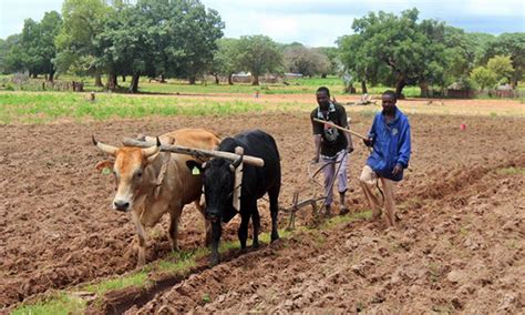 Farmers Urged To Allow Election Officials On Farms More Top Stories