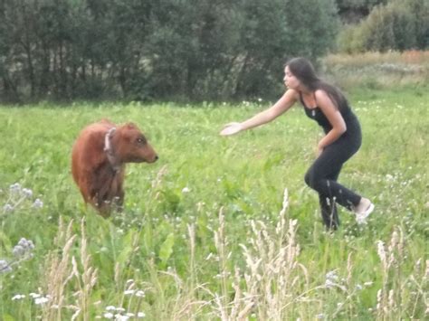 Homemade Gallery 9131 IMG 102 Porn Pic