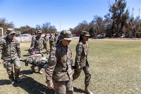 Texas Army National Guard, Chilean army medics enhance interoperability ...