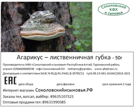 Агарикус - лиственничная губка 50г - Алтайские травы