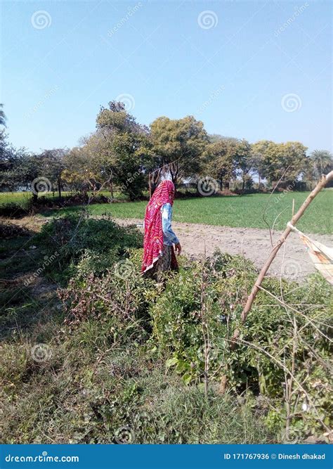 Types Of Farming In India 6