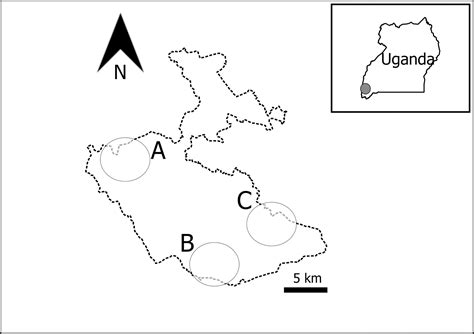 Sex Ratios Damage And Distribution Of Myrianthus Holstii Engl A Dioecious Afromontane Forest