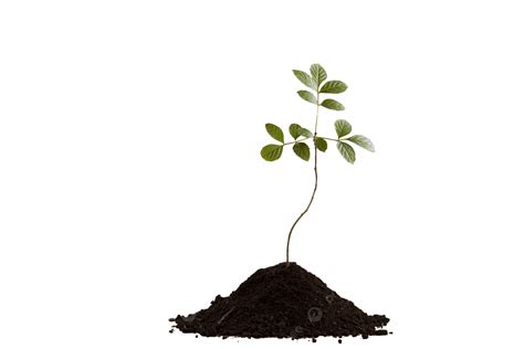 Reddish hues in the water signal a major environmental change