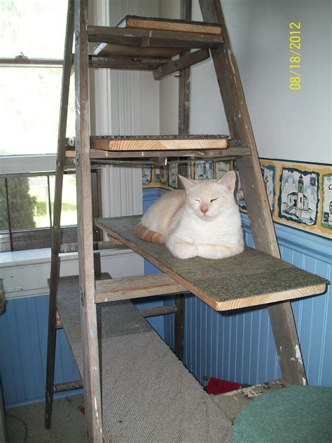 Recycled Ladder Cat Tree Instructables