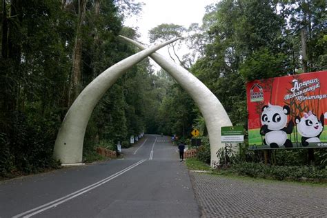 Taman Safari Bogor Newstempo