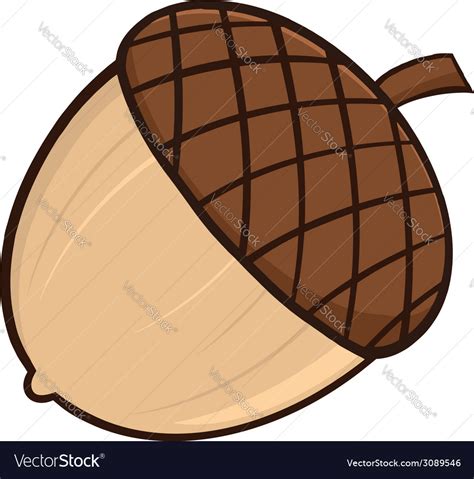 Cartoon acorn Royalty Free Vector Image - VectorStock