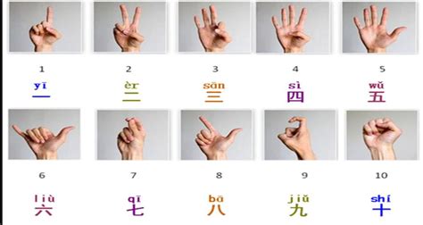 tips  learning chinese  shanghai untour food tours