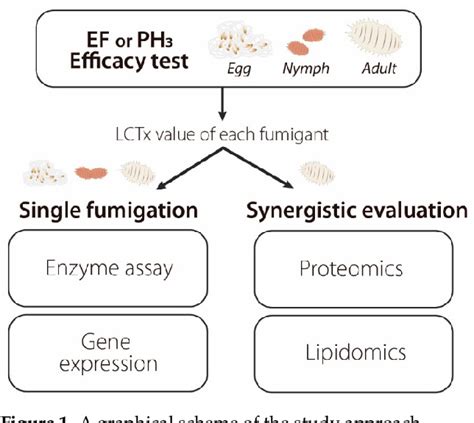 Figure From Synergistic Effects And Toxic Mechanism Of Phosphine With