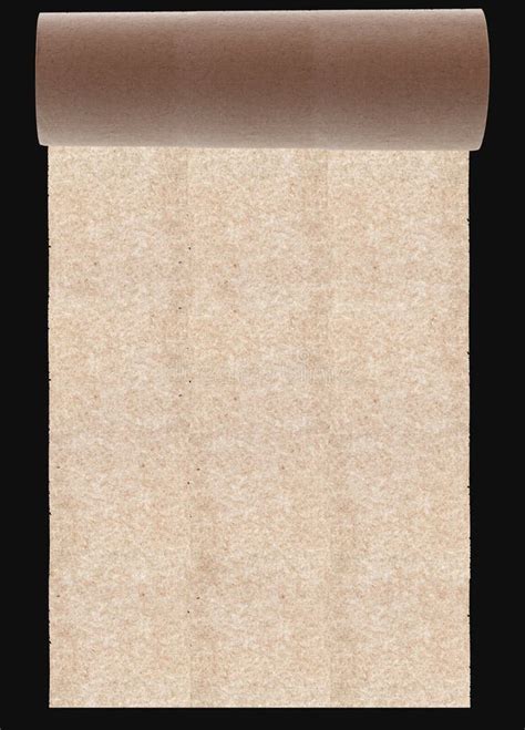 Paper Roll Texture Stock Photo Image Of Domestic Closeup 23023816