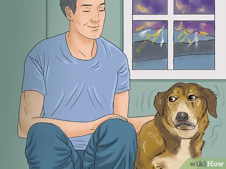 How to Calm a Dog During Thunderstorms: 12 Steps (with Pictures)