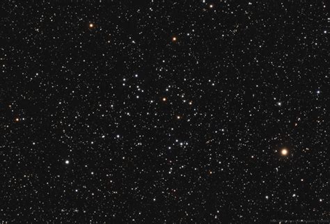 NGC 7209 ( Gary Imm ) - AstroBin