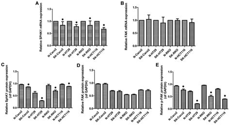 SphK1 Modulates Cell Migration And EMT Related Marker Expression By