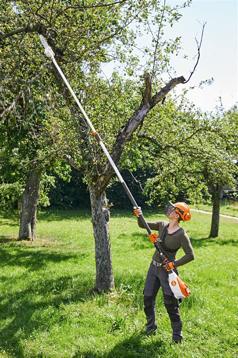 Hta Cordless Telescopic Pole Pruner Stihl