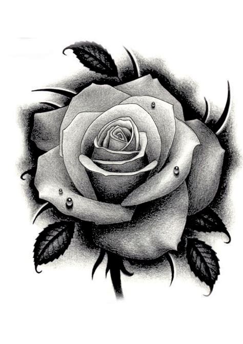 Related Image Stencils Tatuagem Desenho De Rosa Tatuagens De Rosas My
