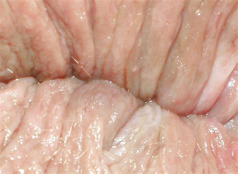 Me Gape 19 Sex Gifs Porn XXX GIFs 4034410 PICTOA