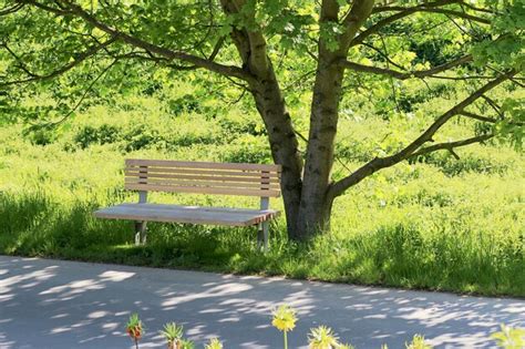 Premium Photo Empty Bench In Park