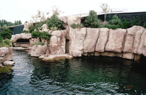 Blijdorp 2002 Part Of The California Sea Lion Exhibit Zoochat