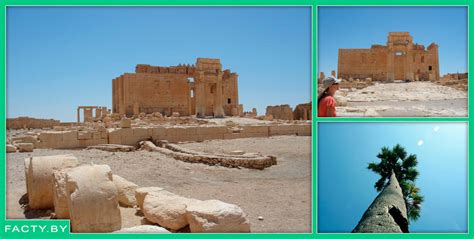 Жемчужина пустыни Пальмира - Интересные факты