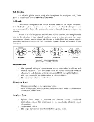 Deped Science Chromosomes Docx