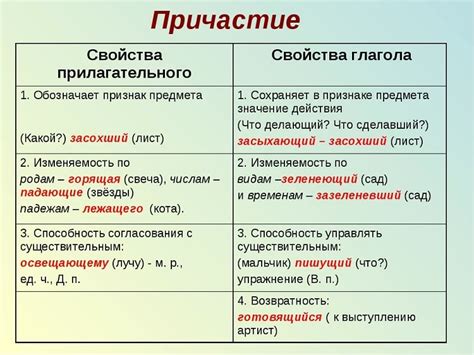 Признаки прилагательного и глагола у причастия: характеристики частей ...