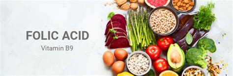 Folic Acid During Pregnancy Why Is It Important Natures Best
