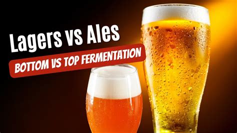 Beer Lagers Vs Ales Youtube