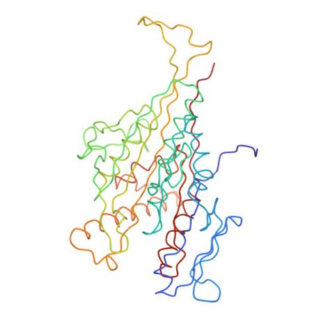 Rcsb Pdb M L Pseudo Atomic Model Of Microtubule Bound S Pombe