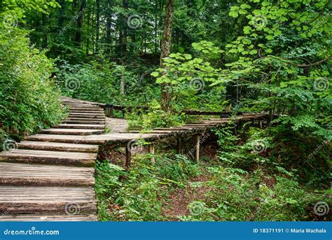 Wood Bridge Stock Image Image Of Foliage Explore Park 18371191