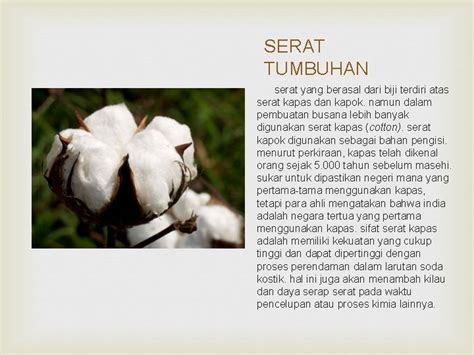 Gambar Serat Tumbuhan Jenis Bahan Serat Dan Karakteristik Serta