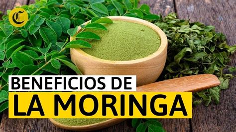 Beneficios De La Moringa ¿para Qué Sirve Y Cómo Se Toma Youtube