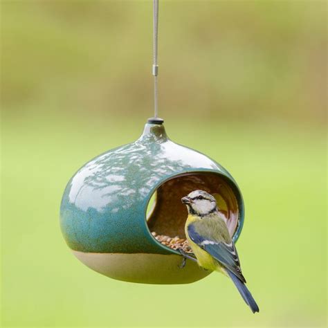 A Bird That Is Sitting On Top Of A Blue Bird Feeder Hanging From A Wire