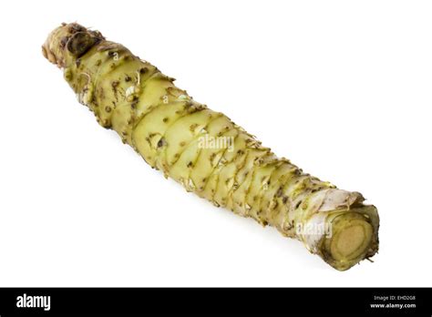 Echter wasabi Cut Out Stock Images & Pictures - Alamy