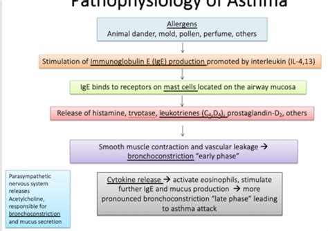 Adv Pharm Pulm Flashcards Quizlet