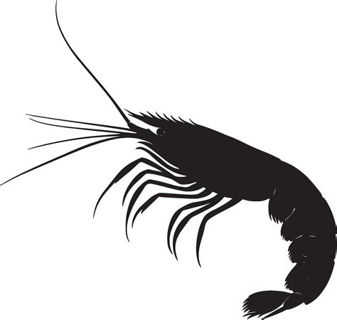 how to shrimp not moving safely 8