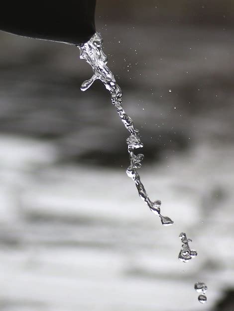 Close up de gotas de água na teia de aranha Foto Premium