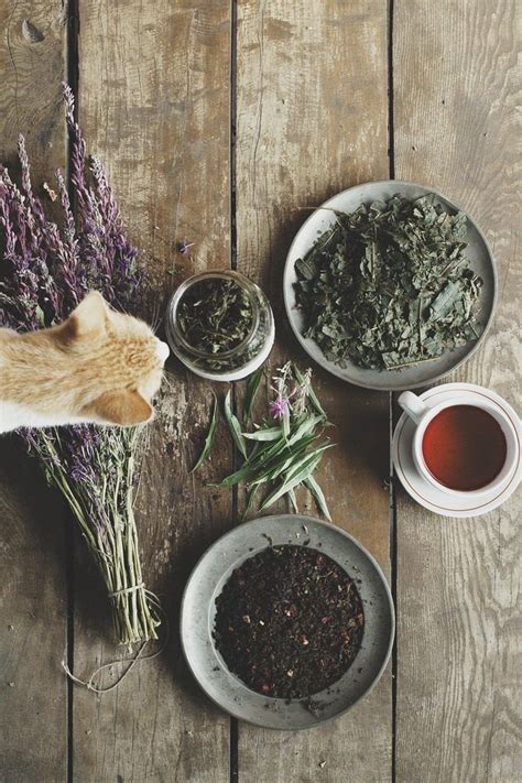 «Копорский» чай — лечебный напиток домашнего приготовления | Травяной ...