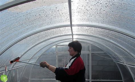 Как правильно выращивать овощи в теплице