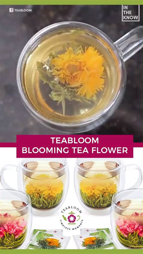 Watch Teabloom Blooming Tea Flower Video Blooming Tea Herbal Teas