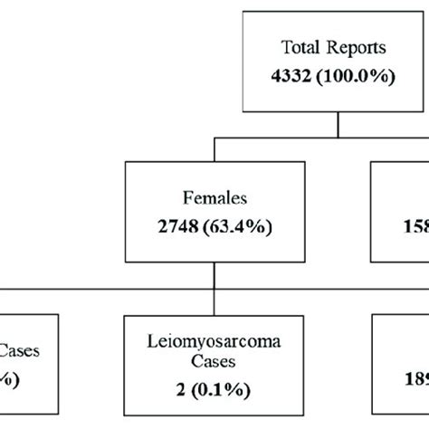 Flowchart Showing The Number And Types Of Surgical Pathology Cases