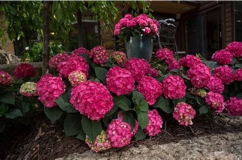 Популярные товары на совместной покупке