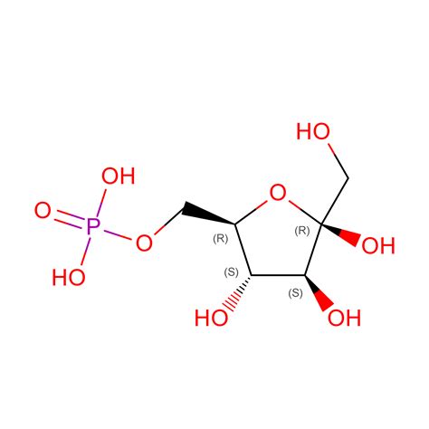 RCSB PDB - 4PFK: PHOSPHOFRUCTOKINASE. STRUCTURE AND CONTROL