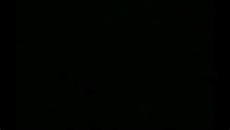 Hairy Pussy Superstars Vol 5 4 Pack Streaming Video On Demand Adult Empire