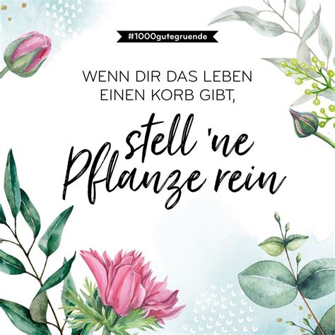 Wenn Dir Das Leben Einen Korb Gibt In 2020 Blumen Spruch Coole